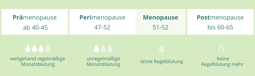 Infografik Menopause