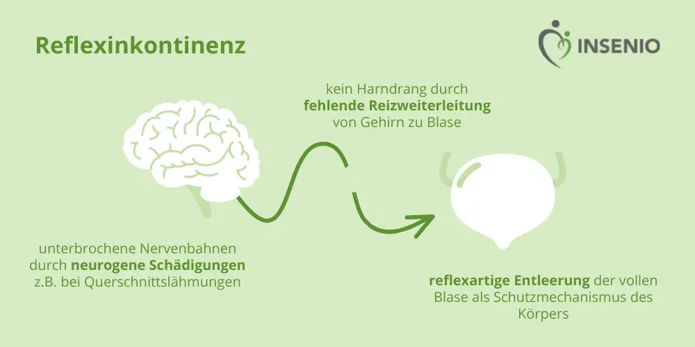 Infografik Reflexinkontinenz