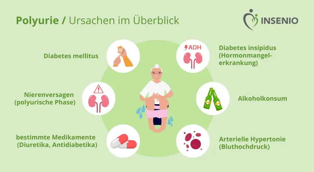 Infografik Polyurie Ursachen